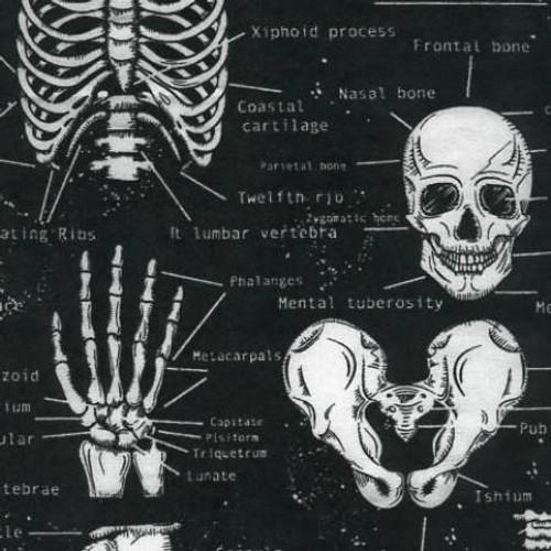 Glow In The Dark Skeleton - Timeless Treasures Cotton (CG9810-BLACK) 