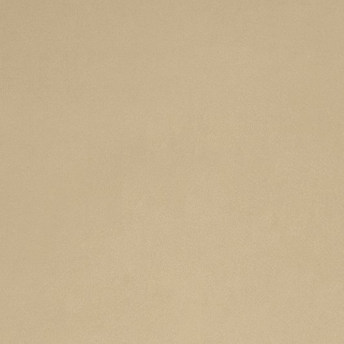 Beige Smooth - Shannon Fabrics Cuddle Minky