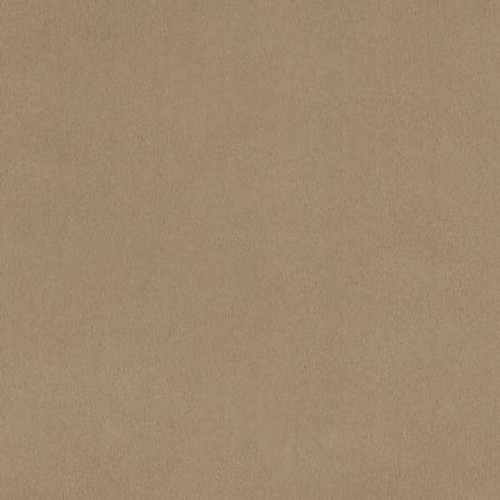 90" Simply Taupe Smooth - Shannon Fabrics Cuddle Minky