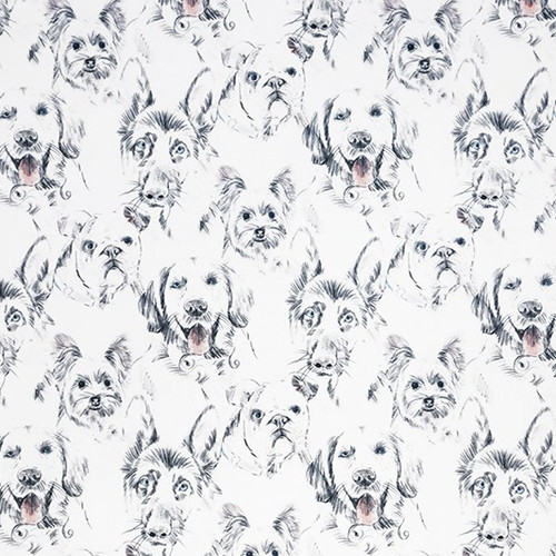 What Up Dawg Digital - Shannon Fabrics Cuddle Minky