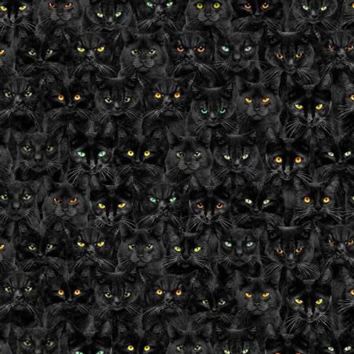 Black Wicked Black Cats Magic - Timeless Treasures Cotton (CD1831-BLACK)