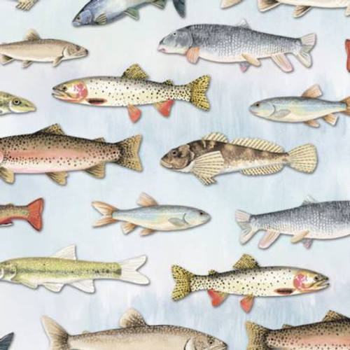 Plenty of Fish Digital - Shannon Fabrics Cuddle Minky (DCPLENTYOFFISHMULTI)