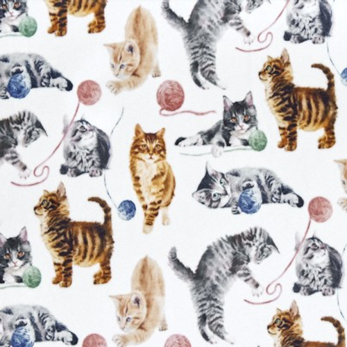 Cat Nip Multi Digital - Shannon Fabrics Cuddle Minky (dccatnipmulti)