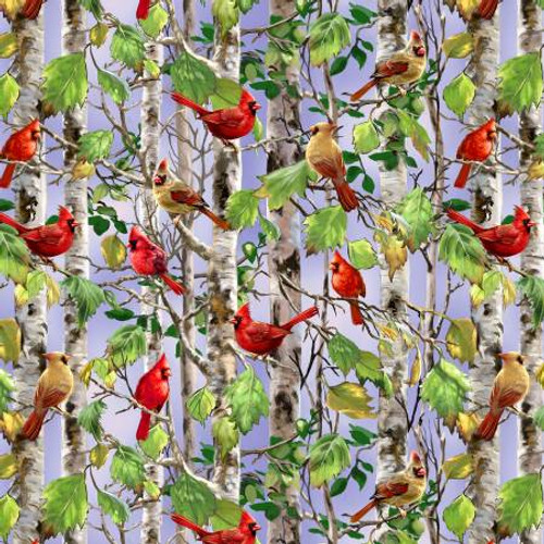 Multi Cardinal On Birch Tree - Timeless Treasures Cotton (CD3198-MULTI)