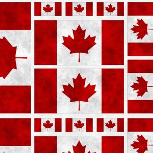 Canadianisms Flag Panel - Wilmington Prints Cotton (7453-131)