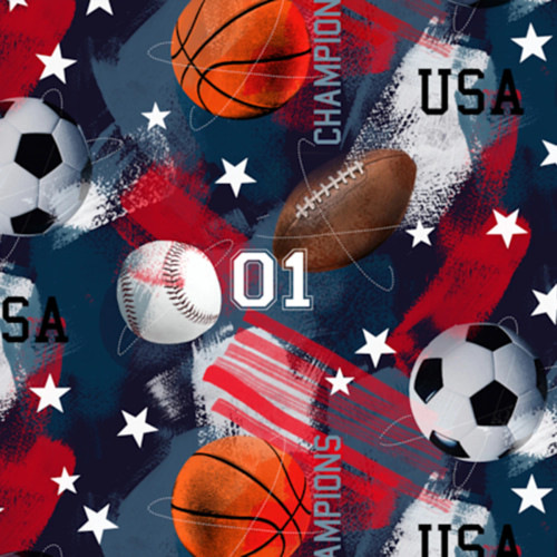 CLEARANCE Multi Champions Digital - Shannon Fabrics Cuddle Minky (dcchampionsmulti)