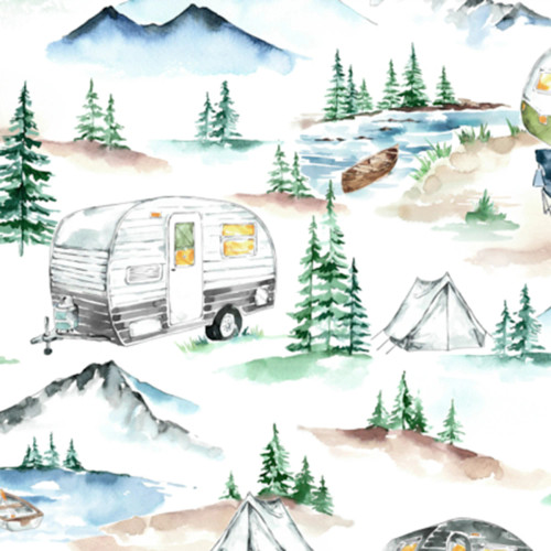 Trailer Trails Digital - Shannon Fabrics Cuddle Minky (dctrailertrailsmulti)