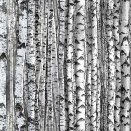 Grey Birchwood - Elizabeth's Studio Cotton (371E-gry)