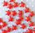 20mm Red bead in a bead star acrylic beads