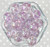 Wholesale 20mm Purple glitter inside bubblegum plastic beads 100pc