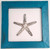 Starfish In Blue Frame With White Background 28 x 28cm Starfish In Blue Frame With White Background 28 x 28cm