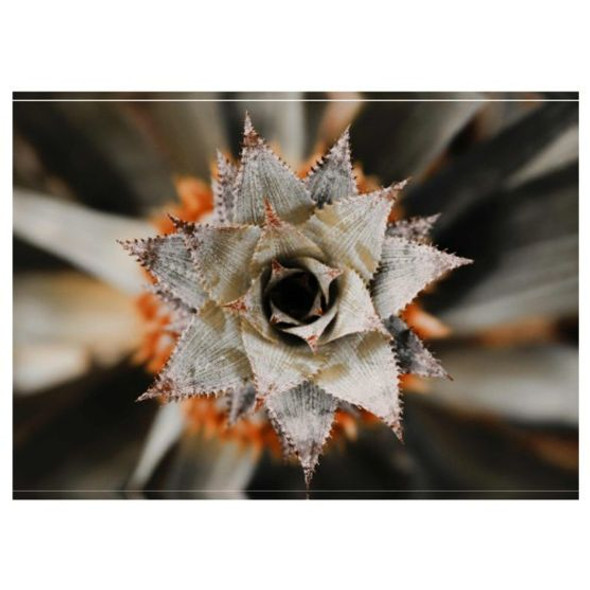Disposable Placemats - Aloe Flower