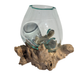 Small Hand Blown Glass Bowl On Driftwood Base Design 4