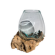 Large Hand Blown Glass Bowl on Driftwood Base Design 5