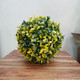 Artificial Grass Leaf Ball Green & Yellow 15cm