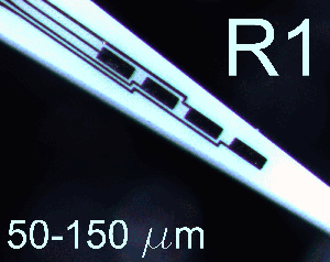 R1 -  4 boxes of 3 MEAs (12 MEAs total) 