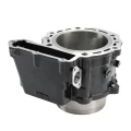 Kawasaki KLR650 Engine Cylinder