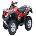 Honda TRX650 Rincon