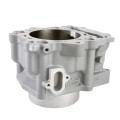 Yamaha Rhino 700 Engine Cylinder