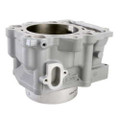 Yamaha Rhino 700 Engine Cylinder