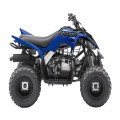Yamaha YFM90 Raptor