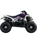 2010 Yamaha YFM90 Raptor
