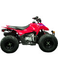 Honda TRX90
