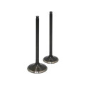 Honda XR100R Engine Valves