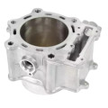 Suzuki KingQuad 750 Engine Cylinder