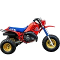 1986 Honda ATC250R
