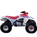 Honda TRX250X FourTrax