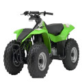 Kawasaki KFX80