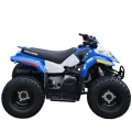 Polaris Outlaw 50