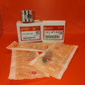 Honda XR70R Piston Kit