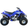 Yamaha YFM80 Raptor
