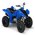 2008 Yamaha YFM80 Raptor