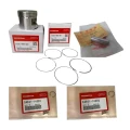 2001–2003 Honda XR100R Piston Kit – OEM Honda