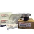 Yamaha Grizzly 700 Piston Kit