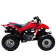 2011 Honda TRX250X Parts