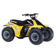Suzuki LT50 QuadRunner