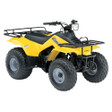 Suzuki LT160 QuadRunner