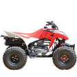 2019 Honda TRX250X Parts