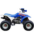 1987 Honda TRX250X Parts