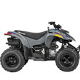 2008 Polaris Phoenix 200 Parts