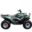 Polaris Xplorer 250