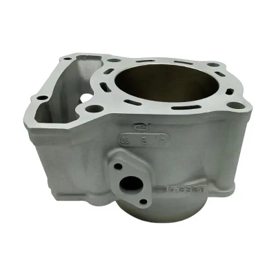 Kawasaki KLX250 Engine Cylinder