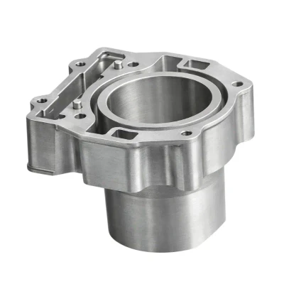 Polaris Sportsman ACE 325 Engine Cylinder