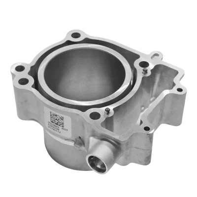 Polaris Sportsman 570 Engine Cylinder