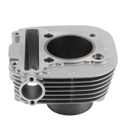 Yamaha Bear Tracker 250 Cylinder