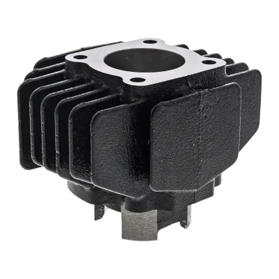 Yamaha PW50 Engine Cylinder